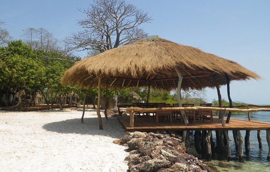 Guinea Bissau – Islands and Wildlife – 10 Days