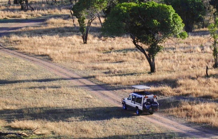 TANZANIA WILDLIFE, LAKE & CRATER 09 DAY SAFARI