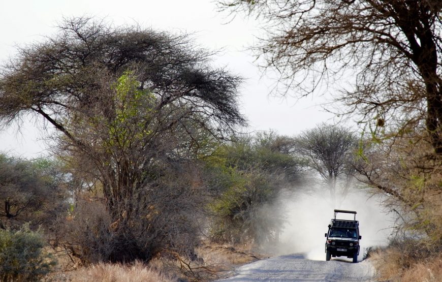 TANZANIA WILDLIFE, LAKE & CRATER 09 DAY SAFARI