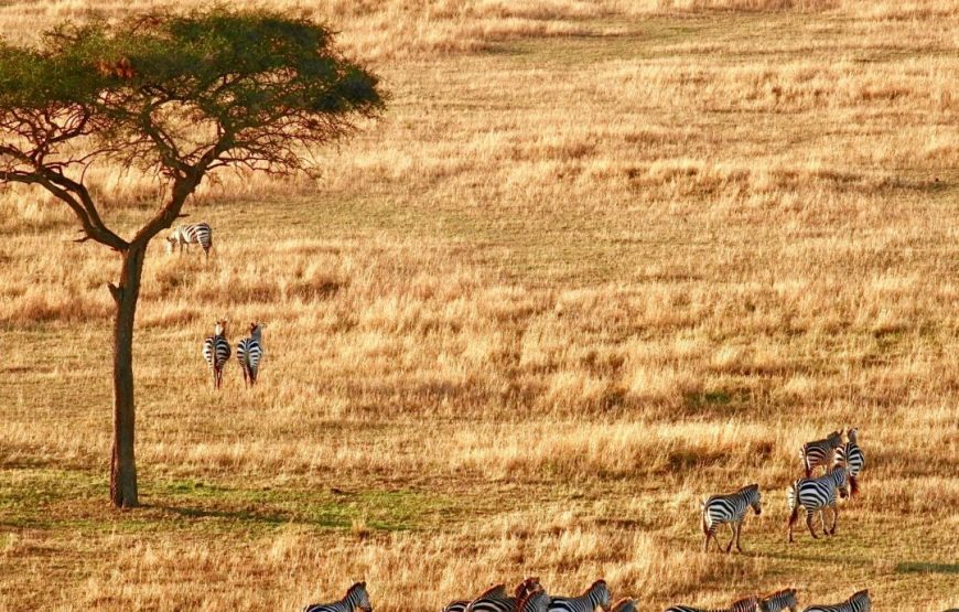 Malawi Tour and Safari – 9 Days