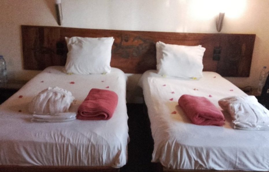 Royal Horizon Baobab