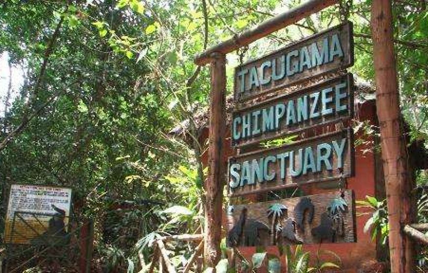 Historic Sierra Leone – 6 Days