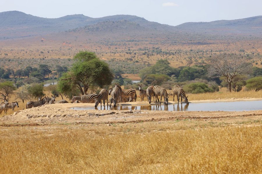 Continenttours-Kenya-tours-Taita-Hills