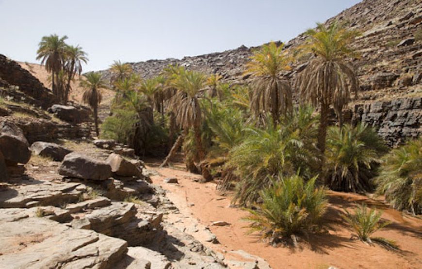 Discover Mauritania – 6 Days