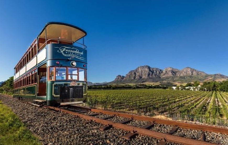 South Africa: Cape Town & Cape Wine Tasting Tour – 7 Days