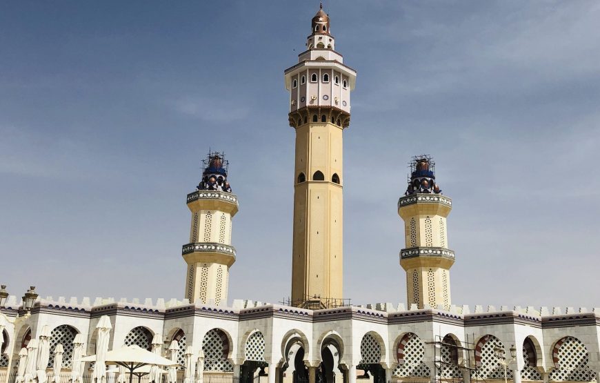 Discover Senegal – 7 Days