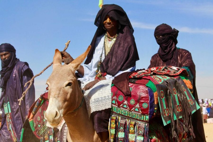 Air Mountains Tour of Niger – 8 Days