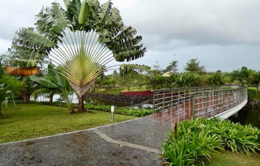 Quick Route to Bioko Island – 3 Days