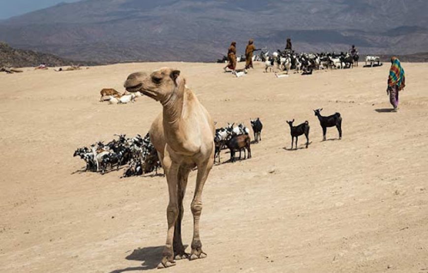 Cultural Tour of Djibouti, Sudan & Eritrea – 15 Days