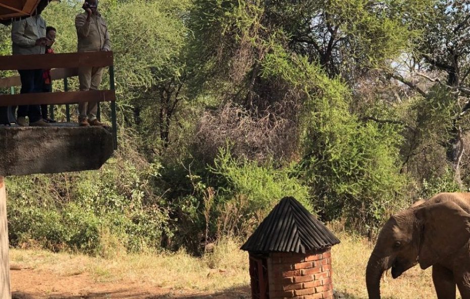 Tarangire Sopa Lodge