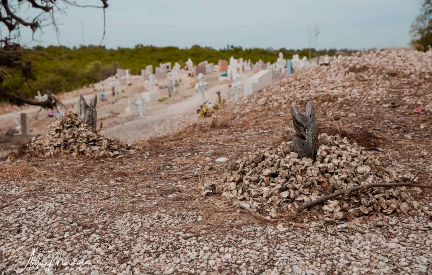 Dak‘Art and Senegal Discovery Tour – 9 Days