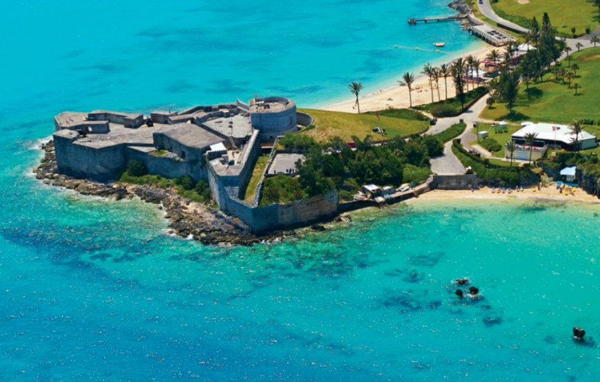 Gabon: Gorillas and More – 5 Days