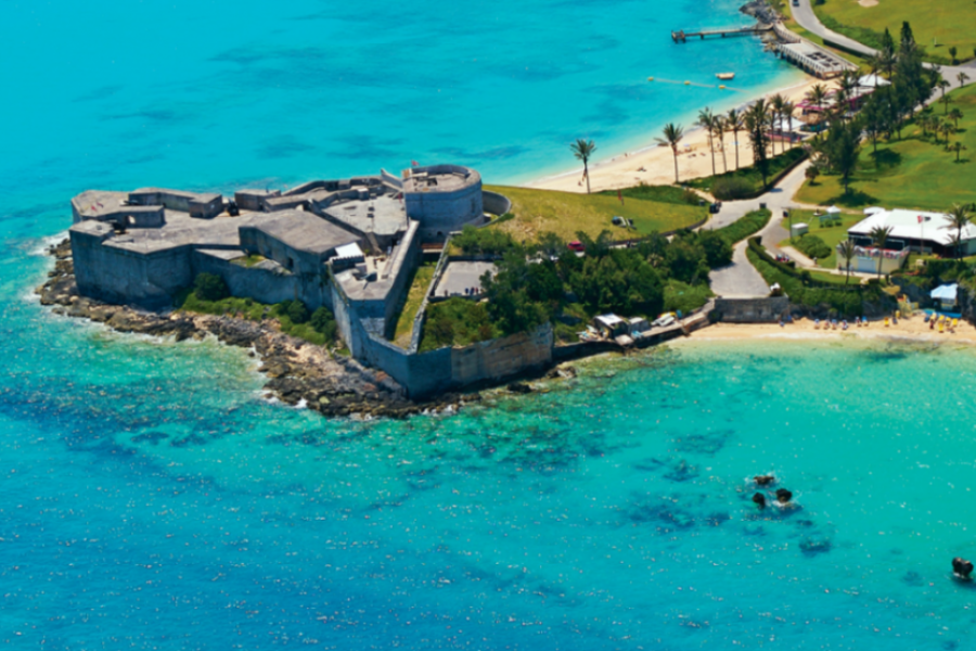 Gabon: Gorillas and More – 5 Days