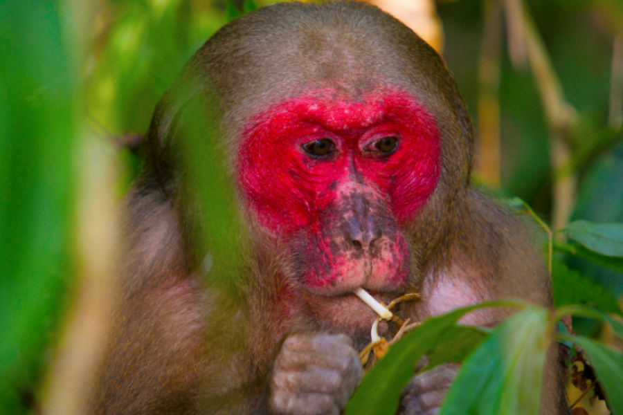 Historic Sierra Leone – 6 Days