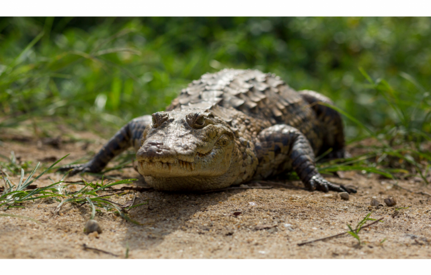 Intro to Ghana – 3 Days