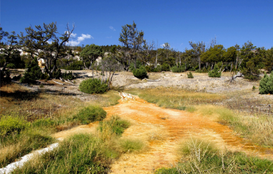 Discover Cote D’Ivoire – 7 Days