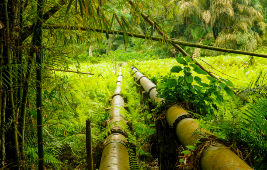 Intro to Ghana – 3 Days